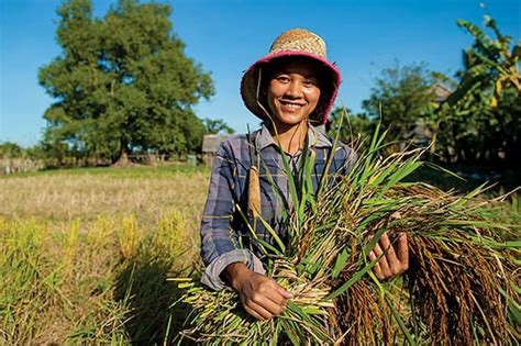 Cambodia's agricultural exports up 87% in 11 months of 2021, says ...