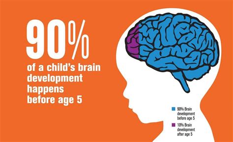 Brain Development in Children - 12 Sensitive Periods You Must Not Miss