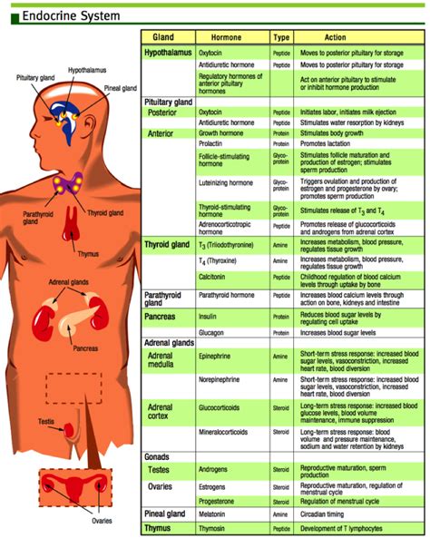 Pin on Health and Wellness