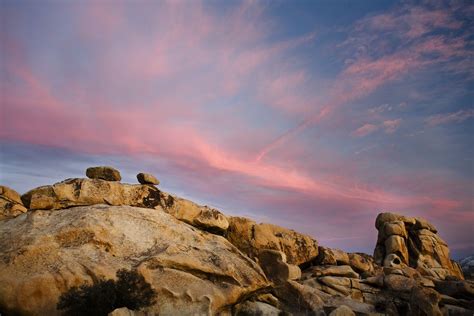 Joshua Tree sunset | Smithsonian Photo Contest | Smithsonian Magazine