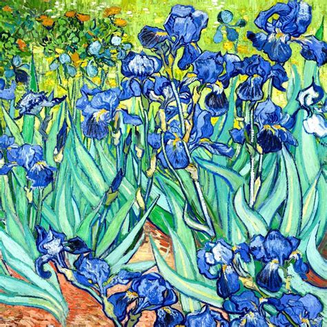 Vincent van Gogh: Irises, 1889