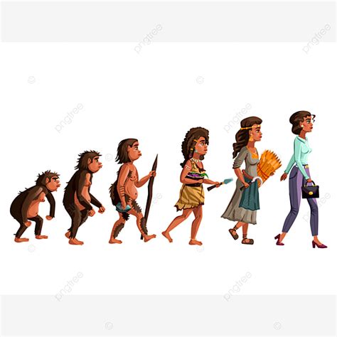 Ilustración De Dibujos Animados De Vector De Evolución De Mujer PNG ,dibujos Evolución, Mujer ...