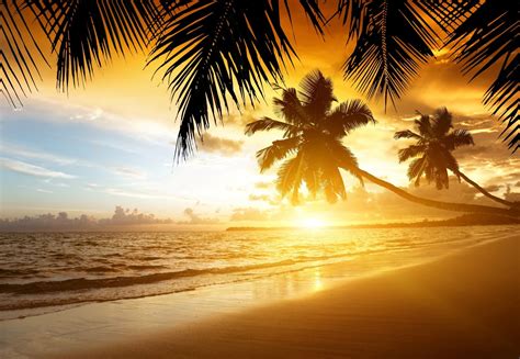 Tropical Island Sunset Wallpaper (58+ images)