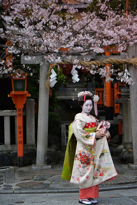 Hanami : Les 15 endroits où voir les cerisiers en fleurs à Kyoto, Japon ...