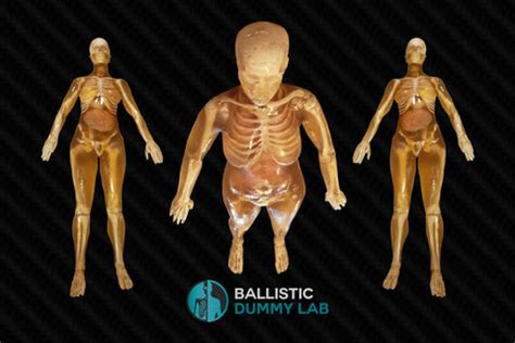 Ballistic Dummy Gel Female Body – Ballistic Dummy Lab