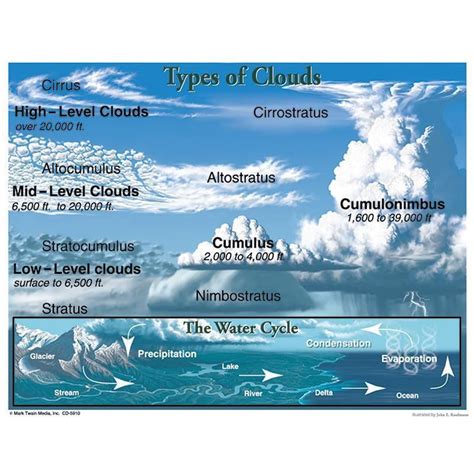 Types Of Clouds Chart | Science and nature, Earth science, Cloud type