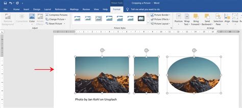 How to crop a picture in Word - OfficeBeginner