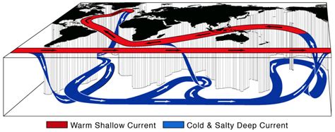 Professor Quibb: Ocean Currents and the Thermohaline Circulation