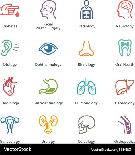 Colored medical specialties icons - set 1 Vector Image