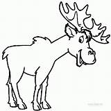 Free Printable Elk Coloring Pages  Home sketch template