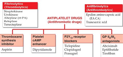 Classification of Anticoagulants – AcrossPG