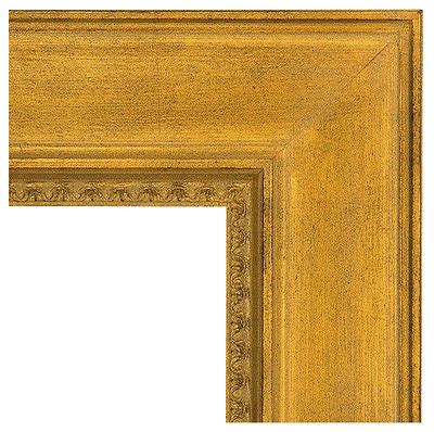 Traditional Gold Frame 16X20 | eBay