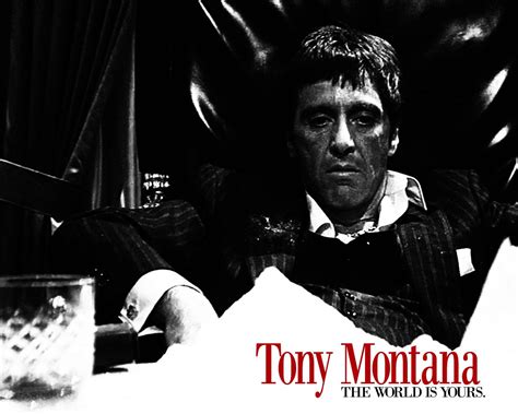 🔥 [50+] Tony Montana Wallpapers | WallpaperSafari