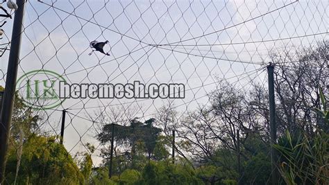 Wire rope mesh for large bird enclosures - Stainless Steel Cable Mesh Supplier - LIULIN