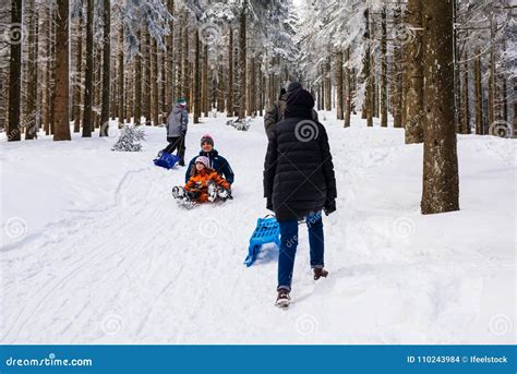 Winter Day with Snow and Happy Mother and Doughter Sleighing the Editorial Stock Image - Image ...