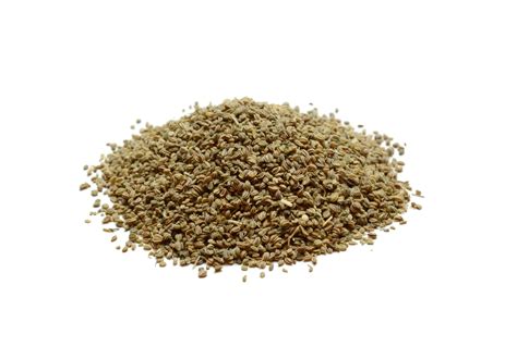 Celery Seed - High Plains Spice Company