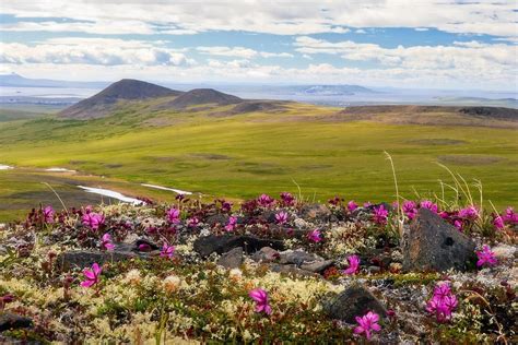 Chukotka Autonomous Okrug Mountains