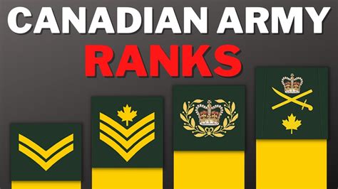 Canada's Army Ranks Explained - YouTube