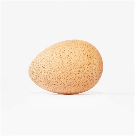 Egg of a guinea fowl — Stock Photo © schankz #6873470