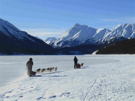 Yukon Winter Adventure Tours|Klondike|Canada|Boreal Kennels