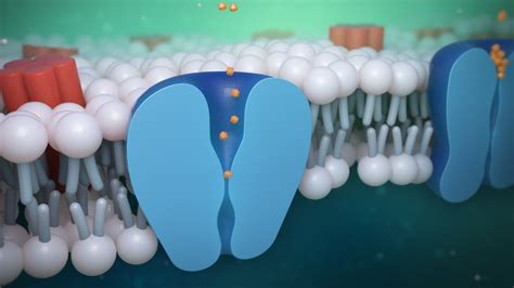 Cell Membrane Medical Animation Tutorial with Cinema 4D and After Effect... | Animation tutorial ...