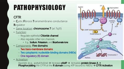 FlashPath - Cystic Fibrosis