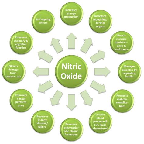 nitric oxide functions - pictures, photos