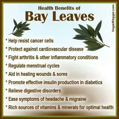 Health benefits of Bay Leaves Food Health Benefits, Health Diet, Health And Wellness, Health ...