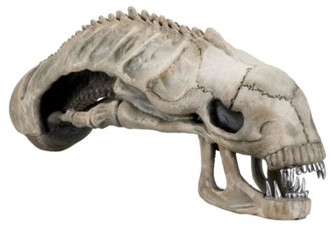 Xenomorph Skull - 36" Foam Replica | at Mighty Ape NZ