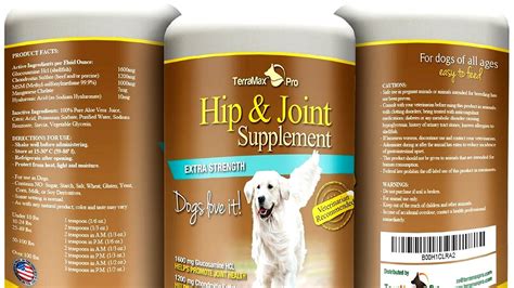 Best Medicine For Dogs With Arthritis - Dog Choices