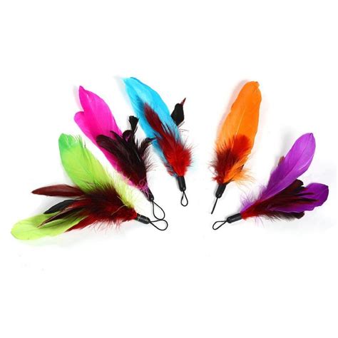 Academyus Pet Supplies Cat Kitten Fun Toys Handmade Feather Teasers Head 5 Colors/Pack | Cat pet ...