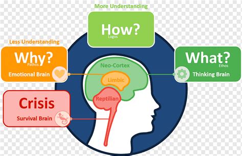 Triune brain Limbic system Learning Neurotransmitter, Brain, text, people, logo png | PNGWing