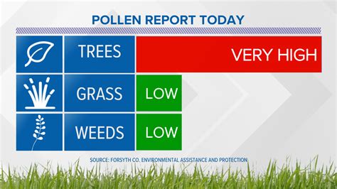 Allergy Season Ramps Up: Pollen Levels, Forecast | wfmynews2.com