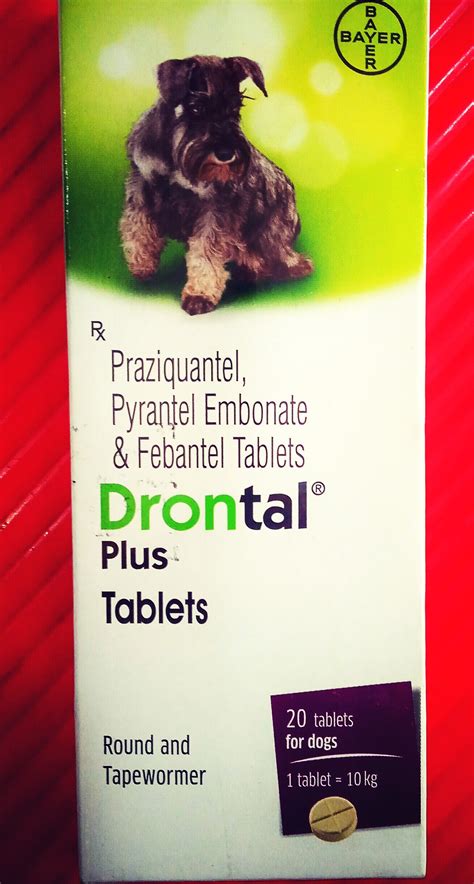 Drontal Plus Tablets at Rs 540/strip | Thirunindravur | Chennai| ID ...