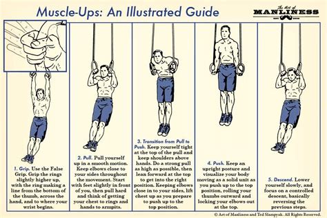 How to Perform a Muscle-Up: An Illustrated Guide | Gymnastic rings ...