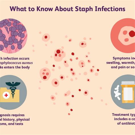 How To Cure A Staph Infection - Amountaffect17