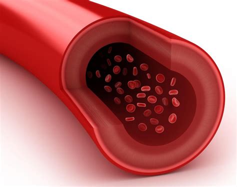 What Is Total Peripheral Resistance? (with pictures)