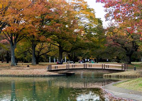 Nerdtour 2012 flashback: Yoyogi Park, Tokyo – Nerdwatch!