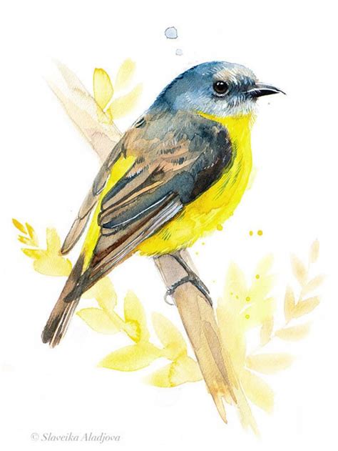 Eastern yellow robin Painting by Slaveika Aladjova | Saatchi Art