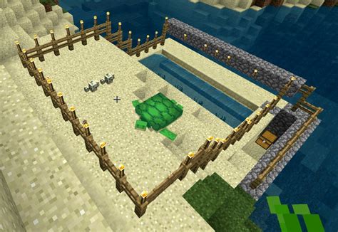 Tutorials/Turtle farming – Official Minecraft Wiki