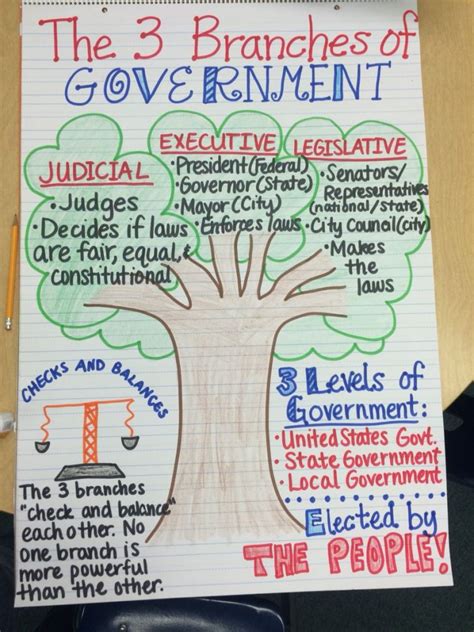 Branches Of Government Anchor Chart