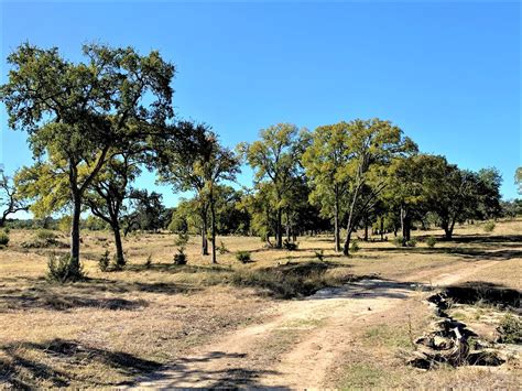 226 acres in Gillespie County, Texas