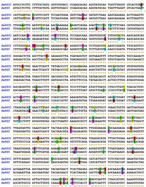 Figure S1. Nucleotide sequence alignment By using BioEid software... | Download Scientific Diagram