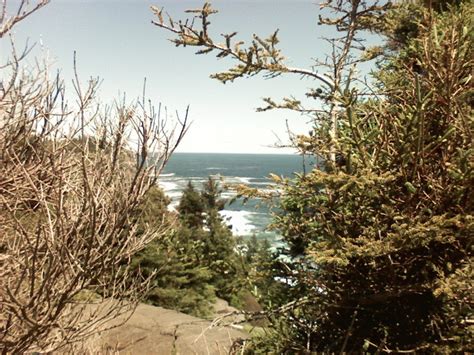 A view from one of the hiking trails on Monhegan Island, Maine. | ThePerryNews