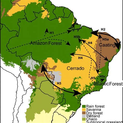 A map showing the current distribution of the Cerrado in South America ...