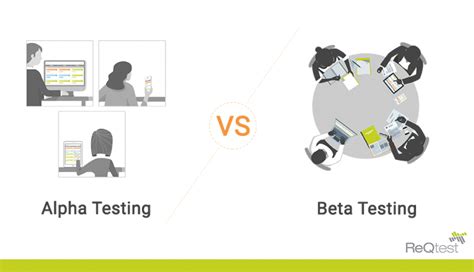 Alpha vs Beta Testing: How They are Different? | ReQtest