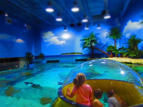 Oklahoma Aquarium Brings Sea Life To The Southwest | Our Changing Lives