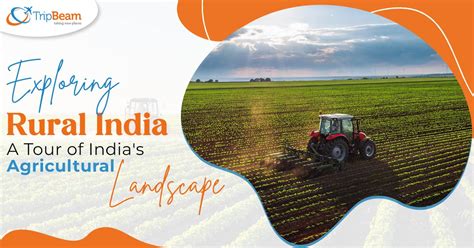 Exploring Rural India: A Tour of India's Agricultural Landscape - Tripbeam CA