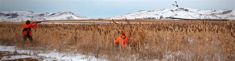 South Dakota Late Season Pheasant Hunts | Buffalo Butte Ranch