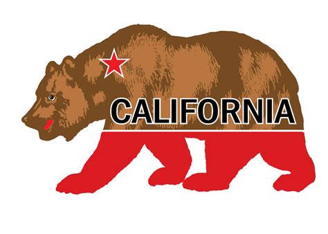 Yellow California Bear Sticker - 1 Dozen - California Seashell Company Retail